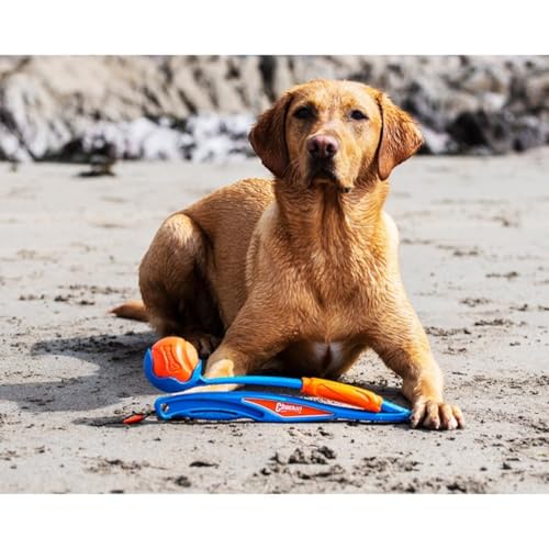 Chuckit! Apportier- und Faltballwerfer für Hunde, zum Aufheben und Werfen, freihändiges Spielen, praktisches Reise-Spielzeug mit Gummiball