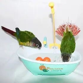 Banheira para Pássaros, Banheira Automática para Papagaios Com Torneira Chuveiro para Pássaros, Banheira Para Pássaros Elétrica com Ducha