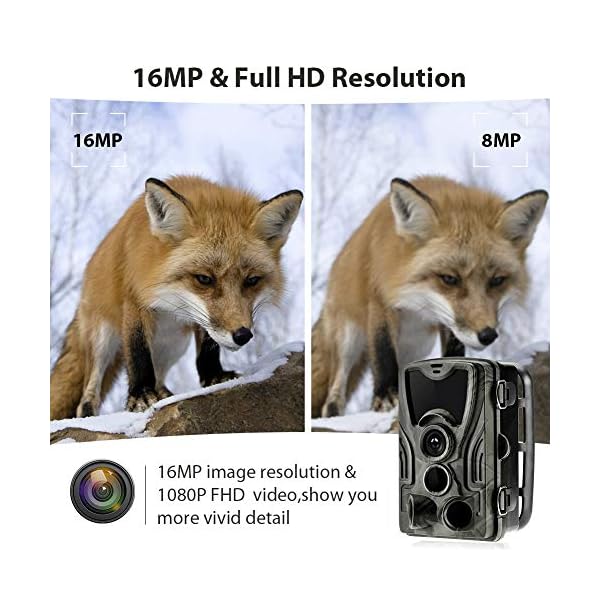 ZUHANGMENG Wildlife Trail Kamera, Jagdspur Kamera IP65 wasserdicht, 0,3s Auslösezeit 940nm Wildkamera 1080P HD Kamera… – Bild 4