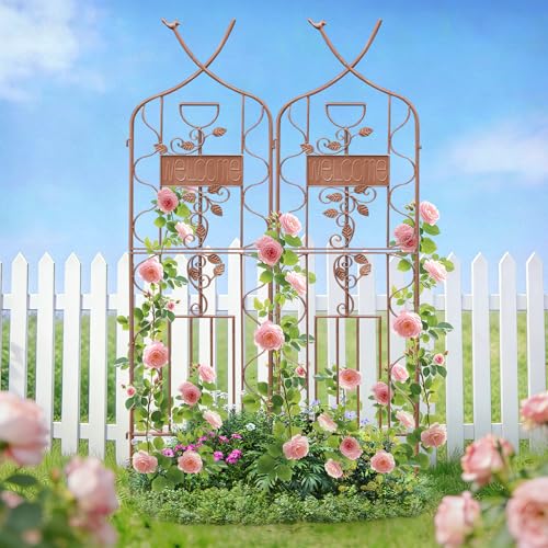 Image of LZRS 2 Pack 59.5 * 18in Rustic Iron Arch Decoration Garden Trellis with Metal Coating - Perfect for Supporting Climbing Plants Outdoor, Roses, Vines, Flowers, and Vegetables, Brown