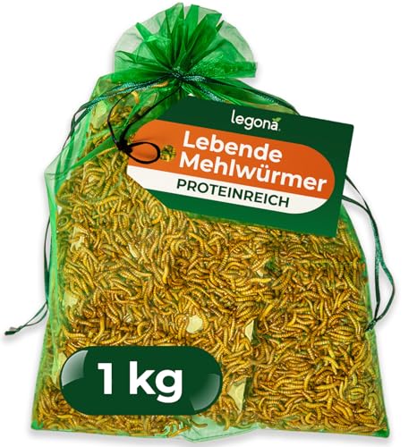 Legona Mehlwürmer lebend 1 kg - Futterinsekten für Terrariumtiere und Hühner - Tenebrio Molitor Larven - In Thermobox verpackt kühl lagerbar