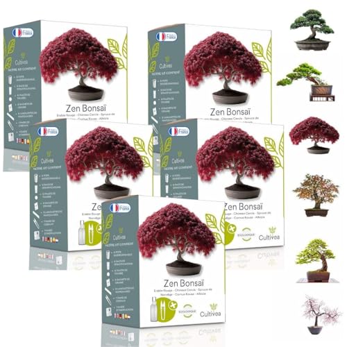 CULTIVEA® Mini Kit Prêt à Pousser 6 Bonsaï – Graines