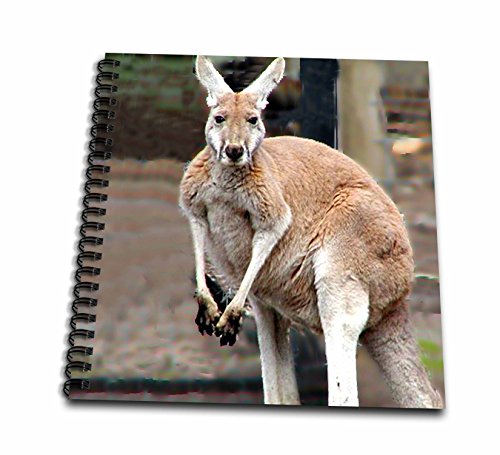 Livre de souvenirs kangourou rouge pour raconter vos carnets de voyage d'Australie en couleur