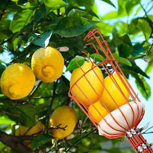 Image of Fieldstar 15 Feet Heavy-Duty Fruit Picker Tool | 10 Section Stainless Steel Pole with Strong Metal Basket | Easy Tree Fruit Harvesting Fruit Plucker Basket, Fruit Catcher