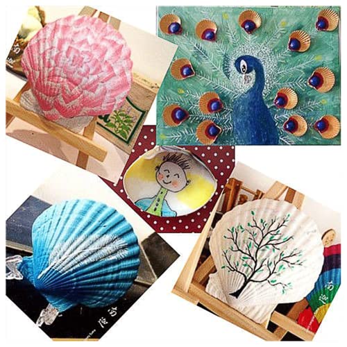 16PCS Sea Shells for Crafts Decoration 3"~4" White Scallop Shells for Crafts DIY Painting Beaching Wedding Decoration, Beach Natural White Seashells Bulk — view 4