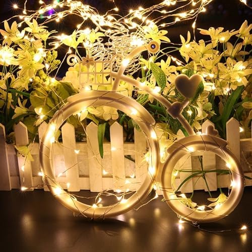 Image of Lexton 10 Meter Copper String Led Light USB Operated | for Indoor & Outdoor Decorations (Warm White, Pack of 1), Standard (C5M-B-WWH)