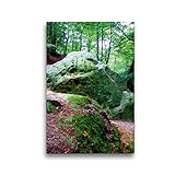 HD Bildqualität: Faksmimilequalität auf Spezial-Leinwand. Der verwendete Bedruckstoff ist eine speziell für uns produzierter, besonders fein gewebter, dimensionsstabile Kunstgewebe-Leinwand. Thermo-Sublimationsdruck überzeugt bezüglich Haltbarkeit, Abriebfestigkeit, Lichtbeständigkeit, Auflösungsvermögen und Farb-Brillanz