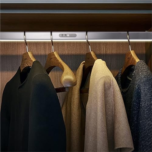 Organizador de ropa de vestuario para renovar el orden de los dormitorios modernos con estilo