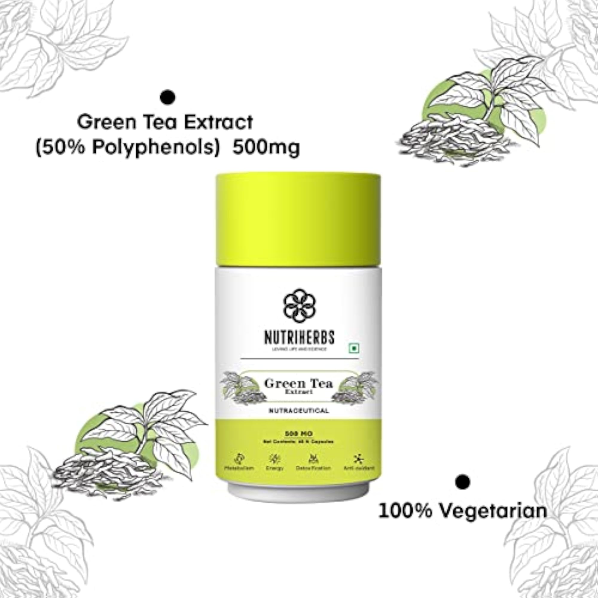 Green Tea Extract Capsules 800mg, Herbal Weight Loss Supplement
