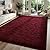 FALARK Super Soft Area Rugs for Bedroom Living Room, 4x6 ft Wine Red Fluffy Rug Carpets for Girls Kids Room, Shaggy Fuzzy Indoor Modern Plush Rugs for Nursery Dorm Home Decor, Wine Red