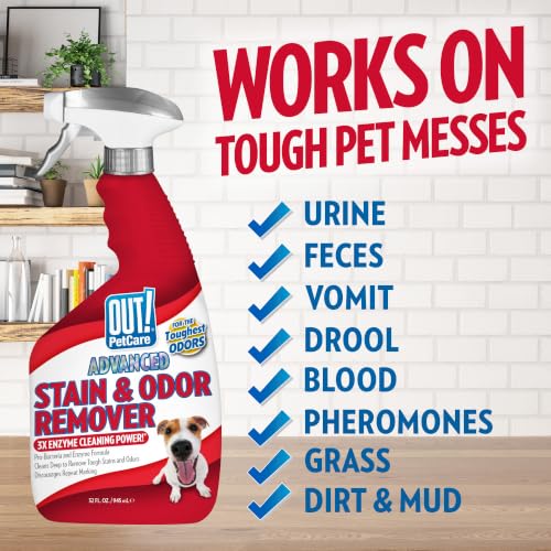 Image of OUT! PetCare Pet Stain & Odor Remover, Carpet Cleaner, 32oz (2 Pack) | Dog Stain & Odor Remover, Pet Odor Eliminator, Floor Cleaner, Dogs & Cats, Carpet Cleaner, Cat Stain Remover, Made in USA