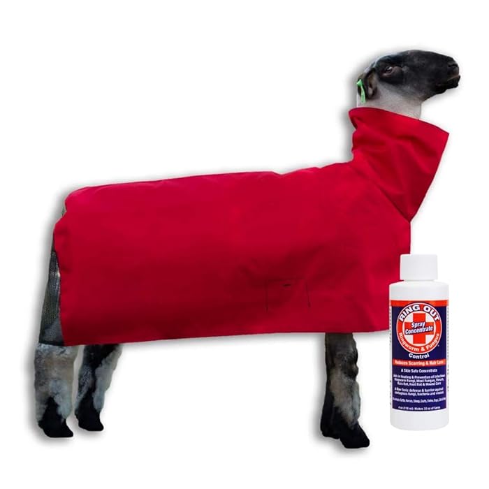 Buy Show Pro Red Sheep Blanket Nylon with Mesh Butt for Show Sheep