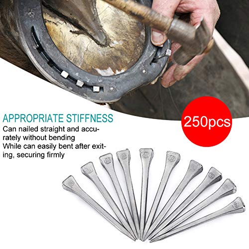 Horseshoe Nail, Steel Horseshoe Nail, 250PCS Horseshoe Tool Securing