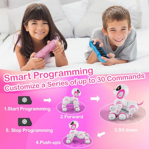 AI Smart Pet Companion Robot