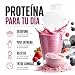 Imagen de Proteina Whey Isolate En Polvo 1kg Forest Fruit Yogurt