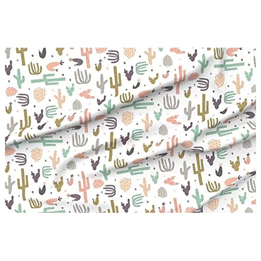 Spoonflower Fabric - Boho Cactus Southwestern Desert Nursery Cacti Succulent Pink Mint Printed on Minky Fabric by The Yard - Sewing Baby Blankets Quilt Backing Plush Toys