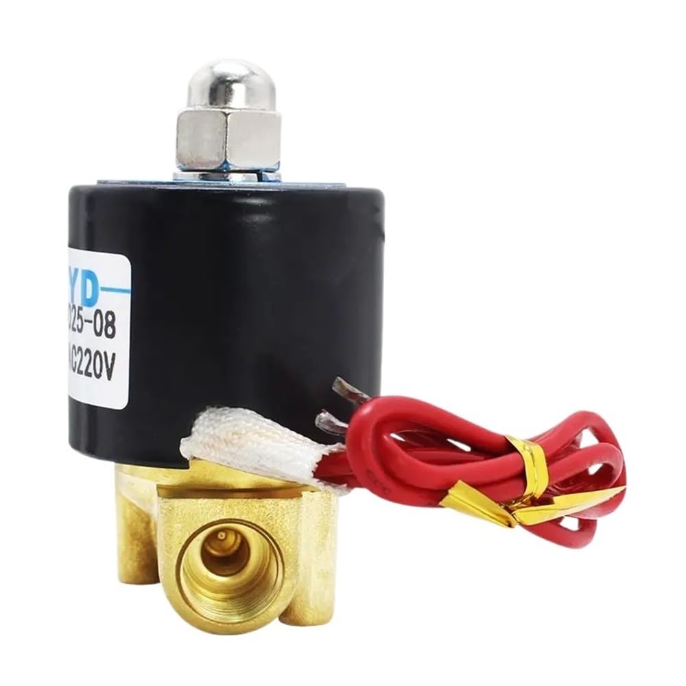Électrovanne 2W025-08 AC220V pour automatiser l'arrosage du jardin et circuits d'eau 1/4