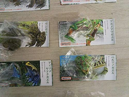 Amazon | ユージン 原色両生類カエル図鑑 新改訂版 全15種セット
