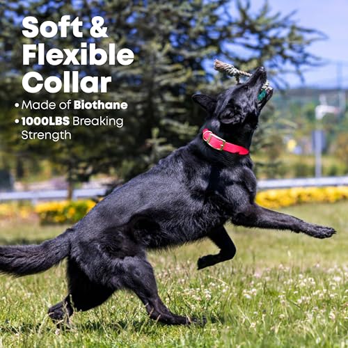 Regal Dog Products Large Pink Waterproof Dog Collar with Heavy Duty Double Buckle & D Ring | Vinyl Coated, Custom Fit, Adjustable Biothane Dog Collar | Chew Resistant Waterproof Collar for Dogs - Image 5