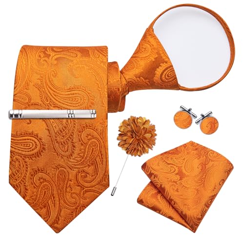 Image of DiBanGu Silk Zipper Ties for Men, Formal Pre-tied Necktie | Adjustable Tie,6PCS,Various Design Styles,Jacquard Woven,Skin-friendly,Practical Gift,Great for Wedding Party,Business Formal