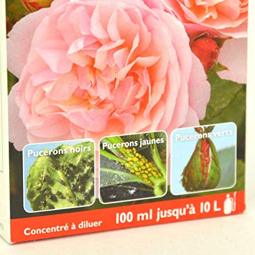 Anti-pucerons choc pour plantes d'ornement, à diluer. 100 ml