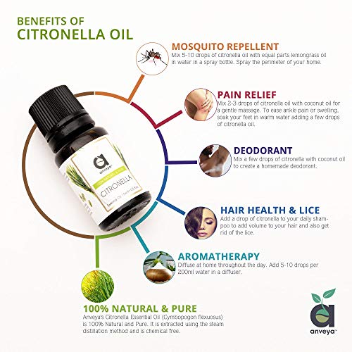 Anveya Citronella Essential Oil, 100% Natural, Pure & Undiluted, 15ml, Best For Hair & Skin, Diffuser & Refreshing Aroma - Image 2