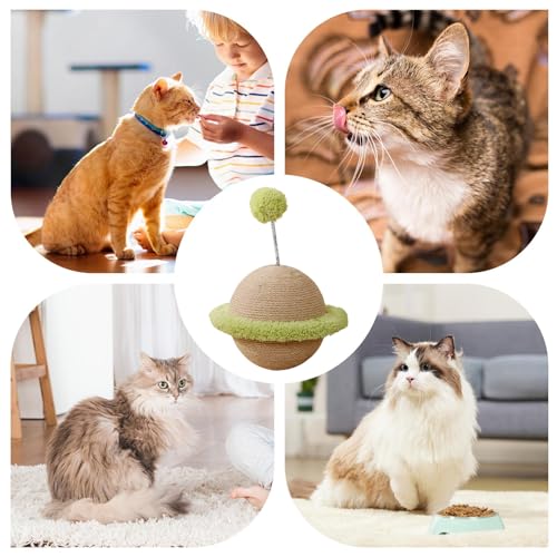 Rascador para gatos pequeños accesorios para mascotas de interior y gatitos 5