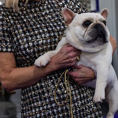 New poll shows pets are good for middle-aged and older adults