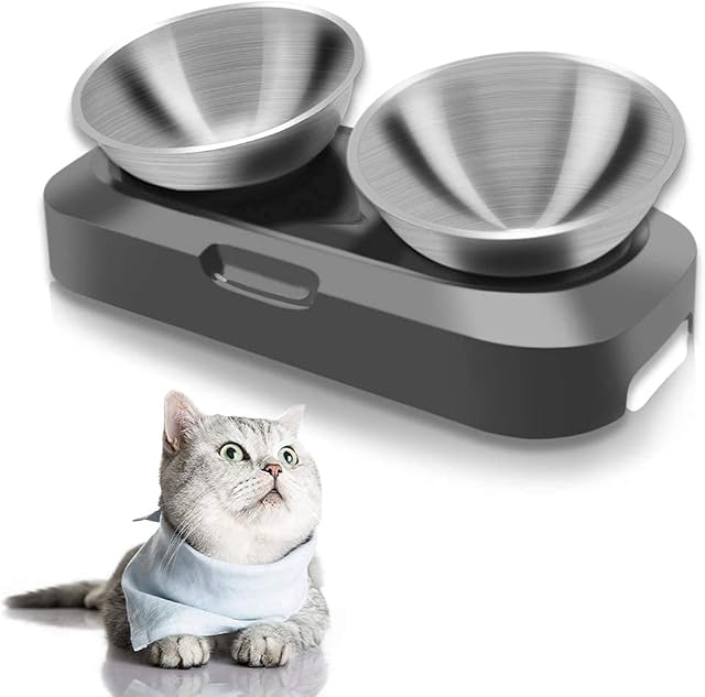 TANGN Raised Cat Feeding Bowl Stainless Steel Cat Food Dish Elevated with Non-Slip Stand, Tilted 15° Anti Vomiting Cat Bowls Designed for Kitten Puppy Pet Whisker Fatigue Dishwasher Safe (Double Bowl)