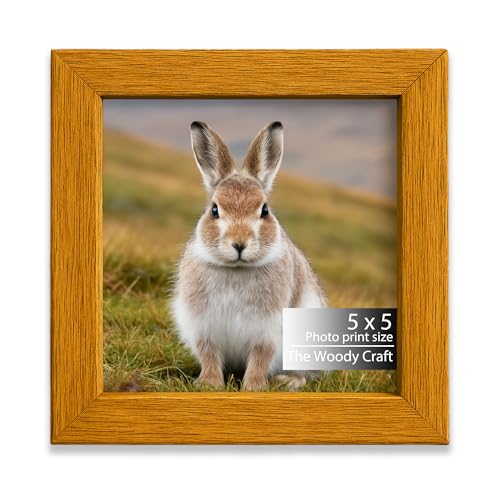 Image of Square Frame 5x5 inch | Vibrant Photo Frames For Wall Decor | Wall Photo Frames To Energize | Fine Wooden Frame | Orange Picture Frames | Birthday Photo Frame (5x5 inch, Orange)