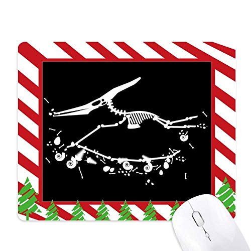Tapis de souris motif fossiles de dinosaures et canne de Noël cadeau original geek