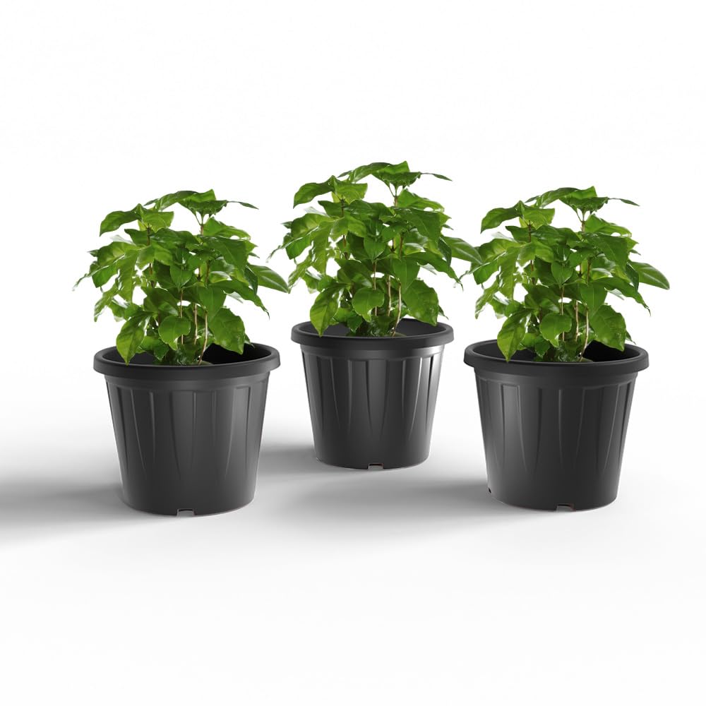 YUCCABE ITALIA 6 Pack White Nursery Planters -14