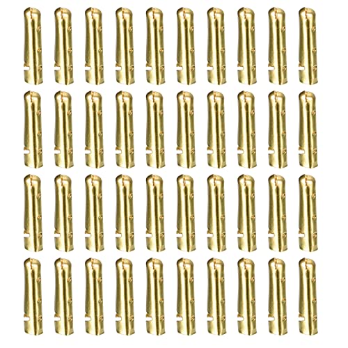 QUARKZMAN 40 st metallskosnören spetsar 3,2 x 18 mm mässing öppen mun skosnören huvud ersättning repspetsar för sportskor gör-det-själv reparation guld, Guld, 3.2x18mm