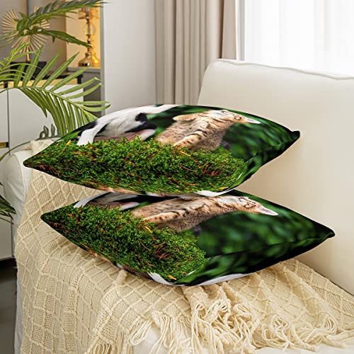 Loussiesd Cat Throw Pillow Covers 18"x18" Set of 2 Pillow Cases Cushion Covers Soft Cats Print Pillow Cases Cushion Covers Puppy Dog Pattern Throw Pillowcases Animal Pet Decorative Throw Cushion Case - Image 3