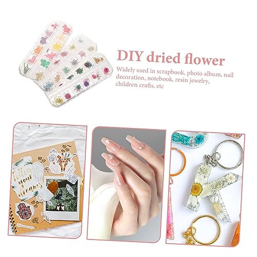 Kit de Flores Naturales Secas y Resina para Manualidades miniatura 3