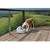 PetSafe-Drinkwell-Everflow-IndoorOutdoor-Dog-and-Cat-Water-Fountain-Pet-Drinking-Fountain-192-oz-Water-Capacity-Gray Outdoor Dog and Cat Water Fountain
