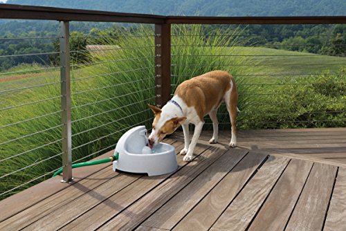 PetSafe-Drinkwell-Everflow-IndoorOutdoor-Dog-and-Cat-Water-Fountain-Pet-Drinking-Fountain-192-oz-Water-Capacity-Gray Outdoor Dog and Cat Water Fountain