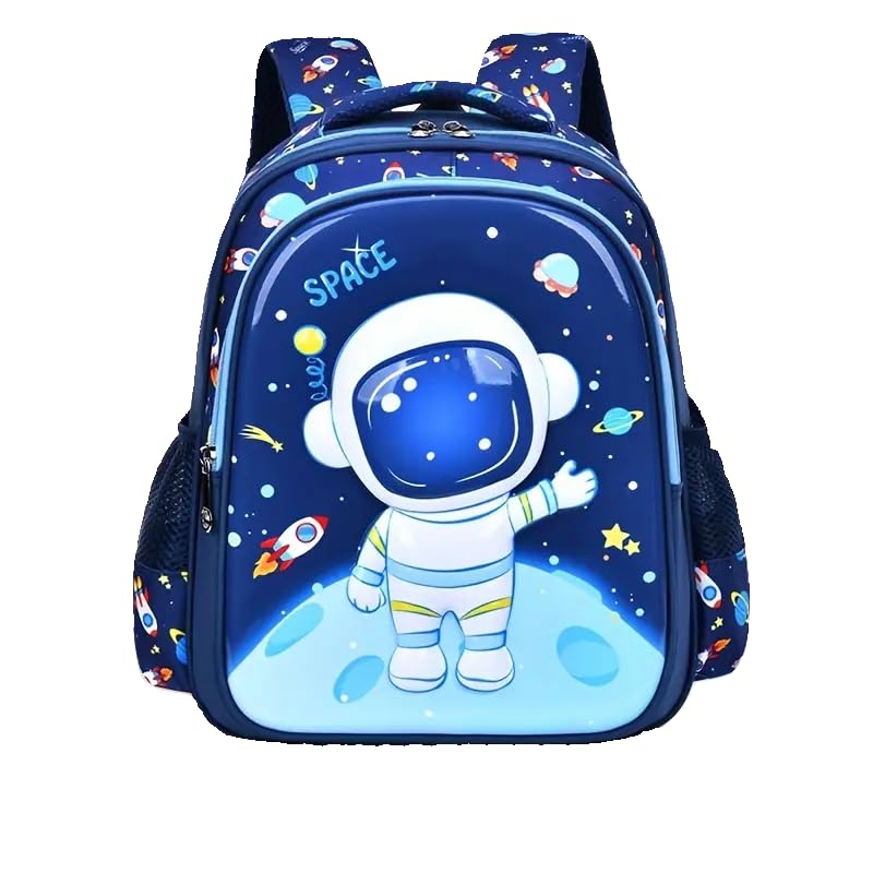 Astronaut I 25L Unisex Stylish &Trendy Water Resistant printed Bag