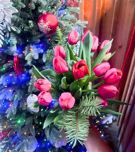 stargazer barn jingle bell bouquet red tulips fresh flowers bouquet fresh cut flowers with christmas greens - bouquet of flowers for christmas or holidays - 15 stems