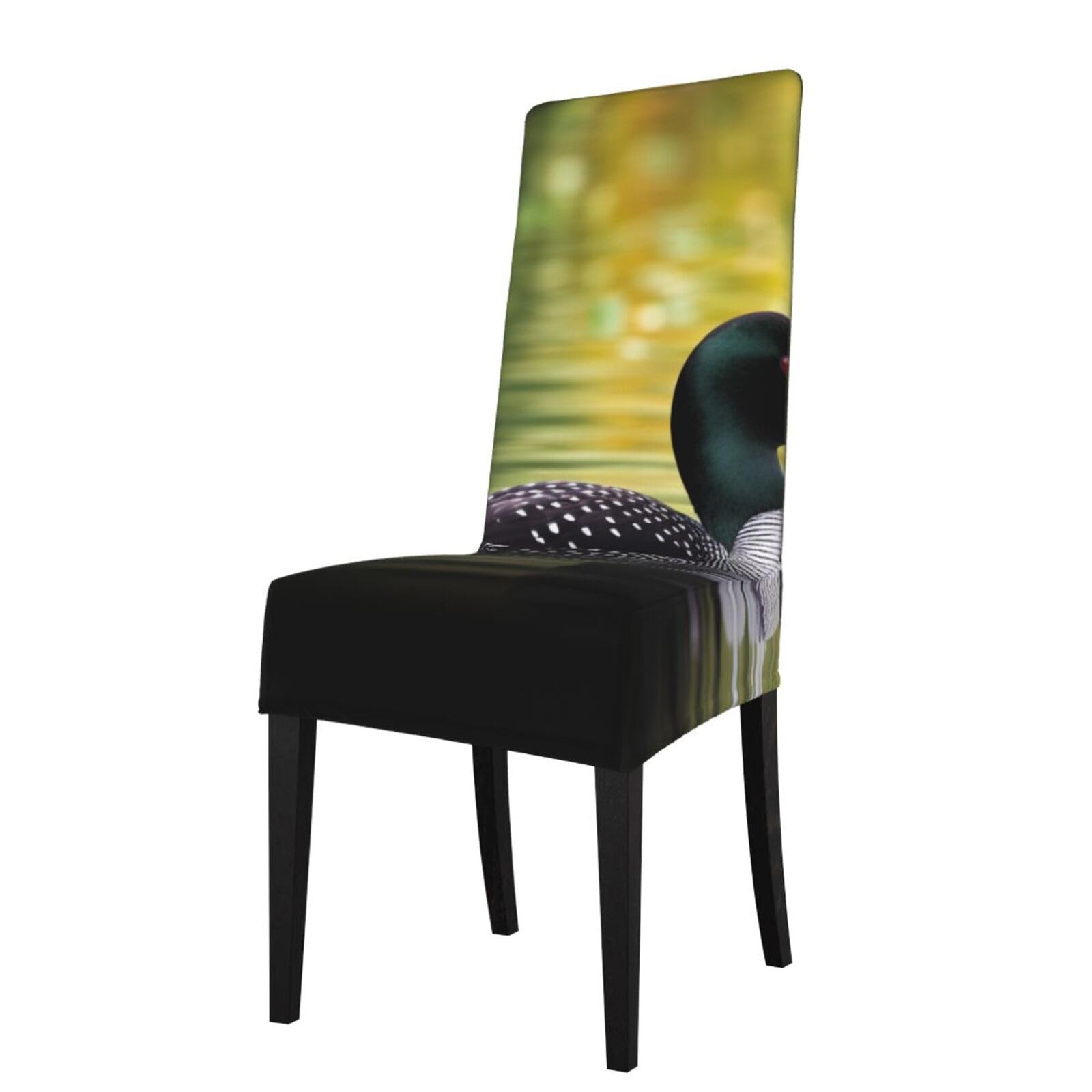 WPKJU Loon Nature Bird Print Dining Chair Covers Removable Chair Seat Covers Decorative for Kitchen & Bar Stools