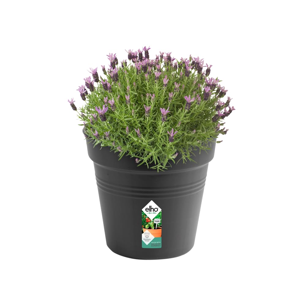 Elho Green Basics Pot De Culture 35 - Growpot pour Intérieur, Extérieur, Culture & Récolte - Ø 35.0 x H 32.2 cm - Noir/Living Noir - 4