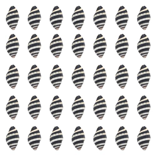 SUNNYCLUE 1 Box 50Pcs Spiral Shells Small Spiral Seashells Vase Fillers Zebra Pattern Hawaii Style Sea Ocean Beach Black White Conch Un-Drilled No Hole Shells for Candle Filler Craft Home Decoration