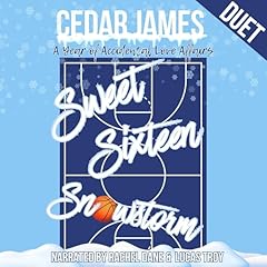 Sweet Sixteen Snowstorm Audiolibro Por Cedar James arte de portada