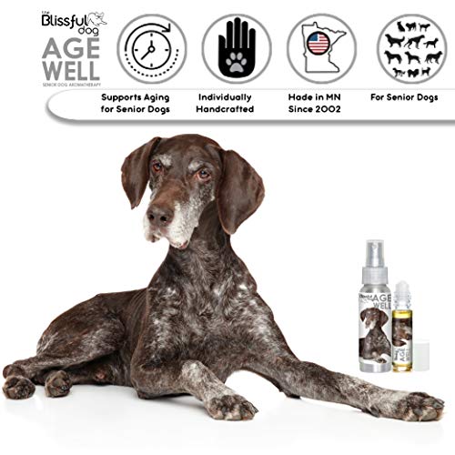 Image of The Blissful Dog German Shorthaired Pointer Age Well Dog Aromatherapy Roll-On Bottle for Your Dog's Peaceful Ageing