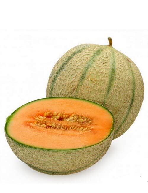 Green World Muskmelon F1 Hybrid For Kitchen Gardening (20 Seed (Pack Of 4)) (B0B71V7XRM) Amazon Price History, Amazon Price Tracker