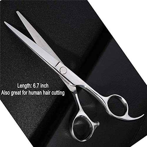Dog Grooming Scissors,Pet Grooming Scissors,Straight Shears great for Groomers and Home Grooming Dog Grooming Scissors,Pet Grooming Scissors,Straight Shears great for Groomers and Home Grooming