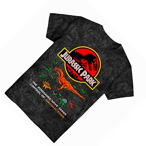 Jurassic Park Boys Dinosaur T-Shirt - Juassic World Classic Movie - 8Bit Dinosaur T-Rex Rawr Tie Dye Shirt4