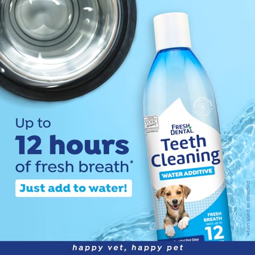 Image of Naturel Promise Fresh Dental Water Additive for Dogs 2-Pack, 18oz Each - Dog Breath Freshener & Teeth Cleaning Solution, Better Value for Daily Use