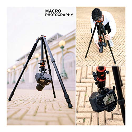 Koah Aphelion Alpha Professional 72 inch Lightweight Aluminum Horizontal Tripod & Monopod with 360 Degree Ball Head & Quick Release Plate (Sony, Panasonic, Nikon, Canon, Fuji) - Thumbnail 2