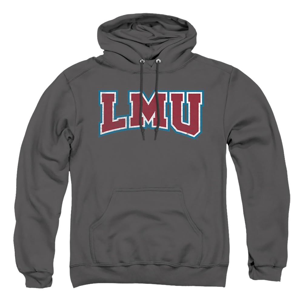 LOGOVISION Official Collegiate Distressed Primary Logo Adult Pullover Hoodie Collection — view 127